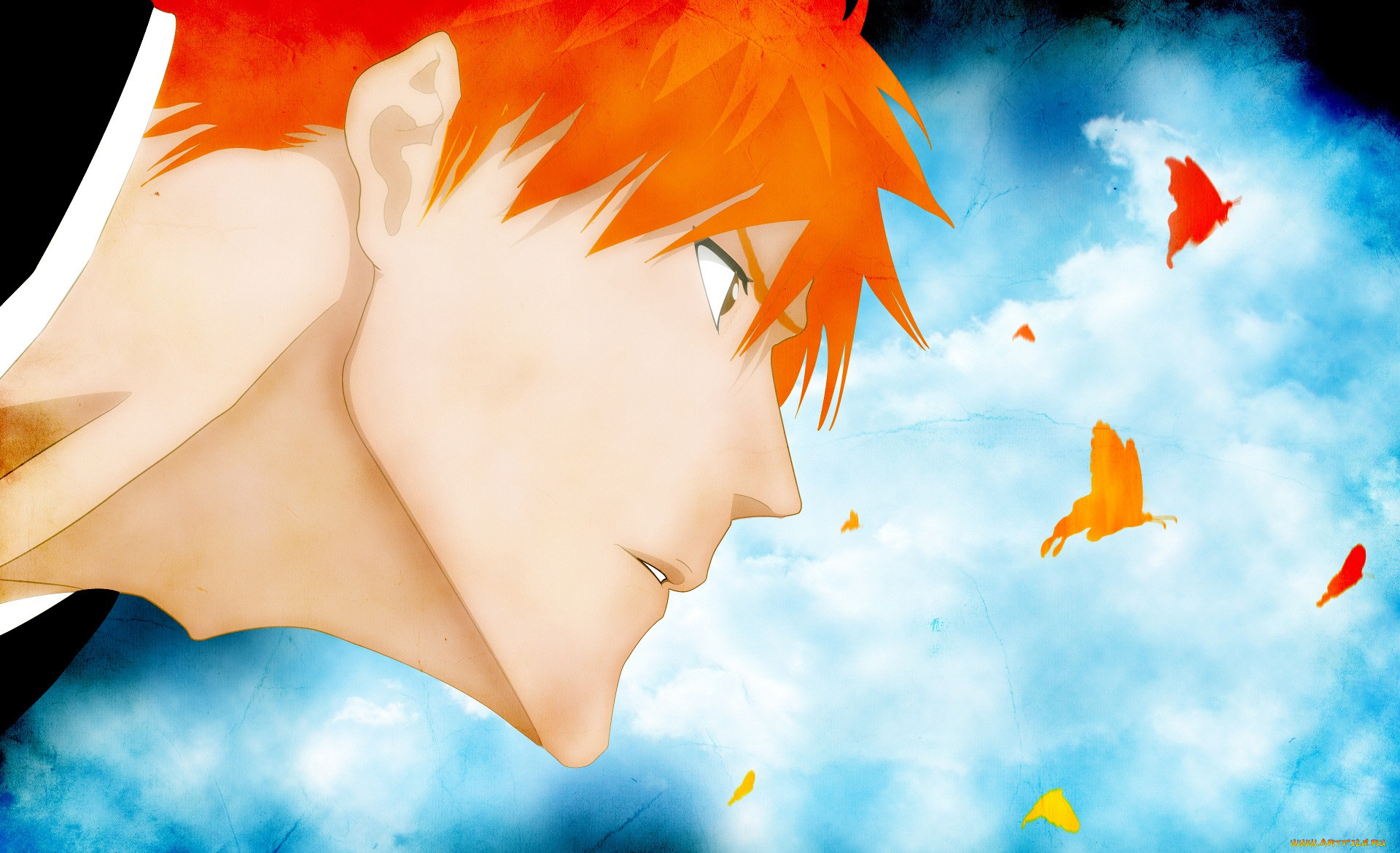 , bleach, 